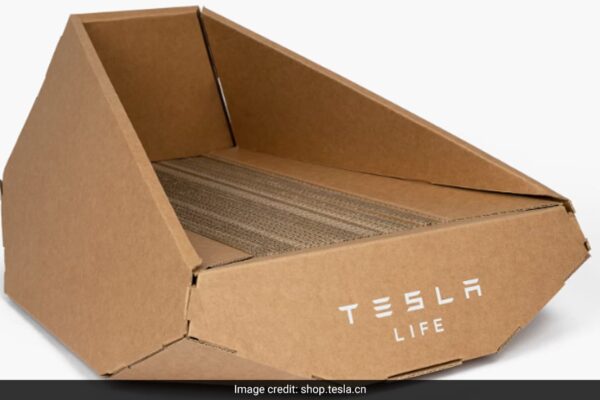 Tesla’s Quirky Merchandise: A Peek at the Cyber truck-Inspired Cat Bed Exclusive to China