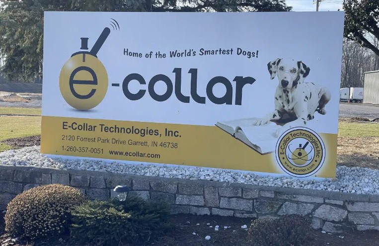 Unveiling the World of E Collar Technologies