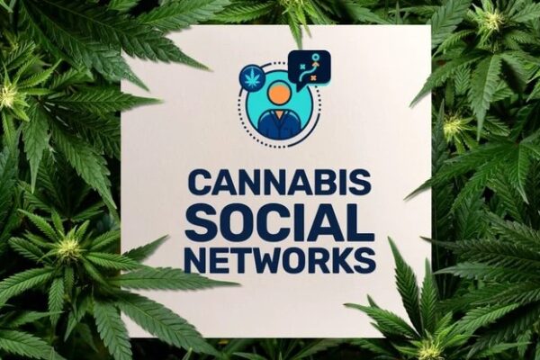 Exploring the Future of Cannabis Business Social Networks