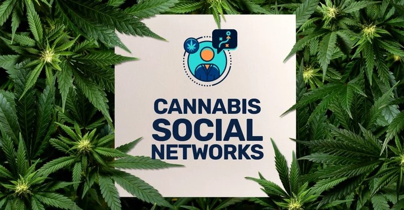 Exploring the Future of Cannabis Business Social Networks